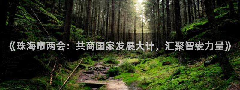 《珠海市两会：共商国家发展大计，汇聚智囊力量》