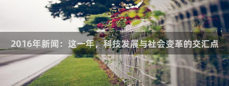 2016年新闻:这一年,科技发展与社会变革的交汇点