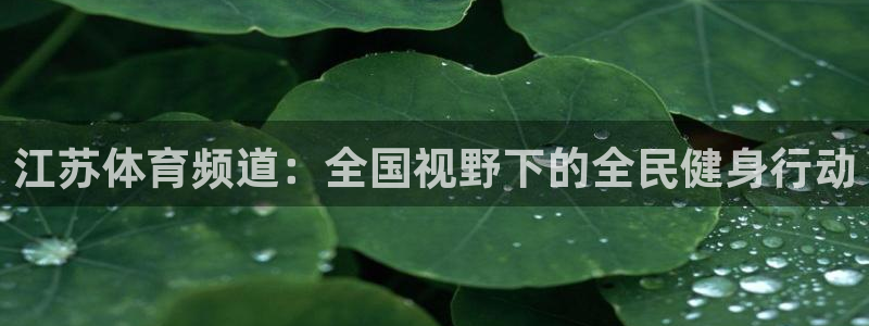 江苏体育频道：全国视野下的全民健身行动