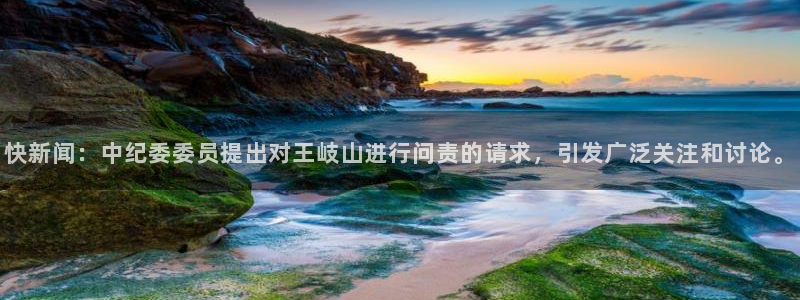 快新闻：中纪委委员提出对王岐山进行问责的请求，引发广泛关注和讨论。
