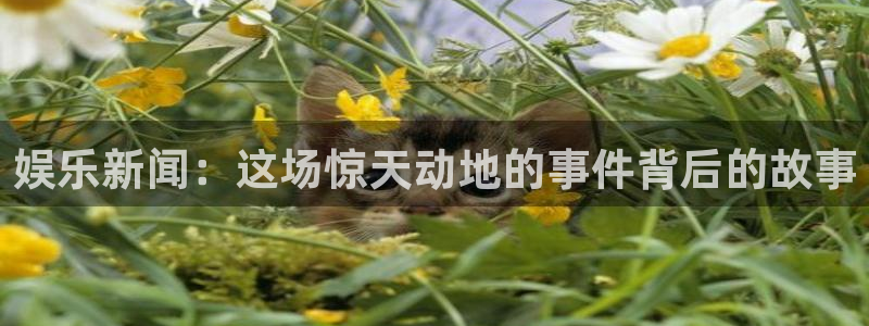 娱乐新闻：这场惊天动地的事件背后的故事