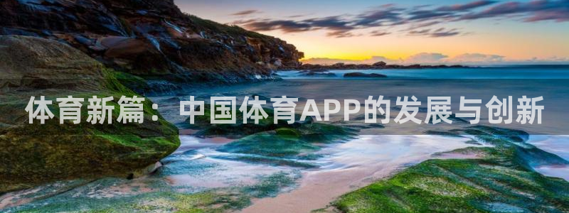 体育新篇：中国体育APP的发展与创新