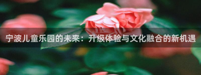 宁波儿童乐园的未来：升级体验与文化融合的新机遇