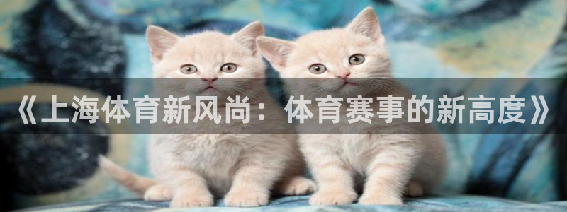 《上海体育新风尚：体育赛事的新高度》