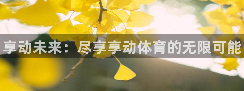 享动未来：尽享享动体育的无限可能