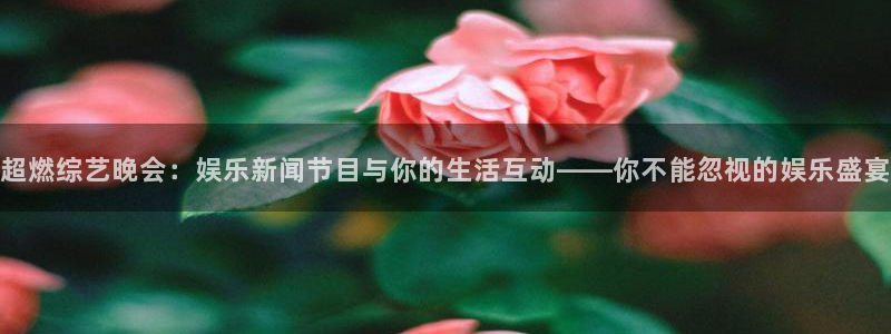 超燃综艺晚会：娱乐新闻节目与你的生活互动——你不能忽视的娱乐盛宴