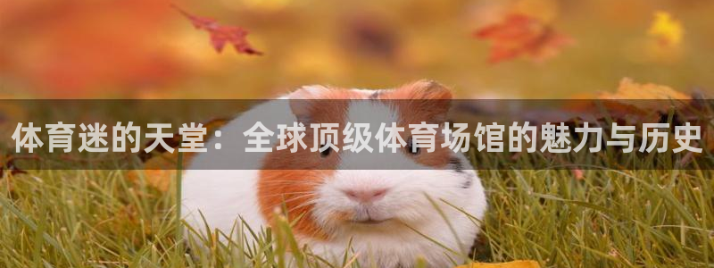 体育迷的天堂：全球顶级体育场馆的魅力与历史