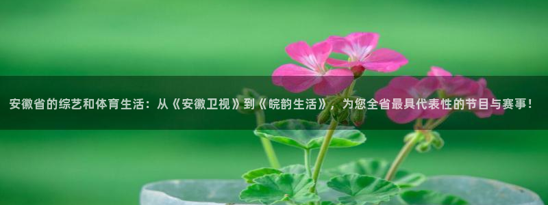 安徽省的综艺和体育生活：从《安徽卫视》到《皖韵生活》，为您全省最具代表性的节目与赛事！
