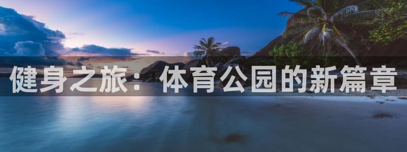 健身之旅：体育公园的新篇章