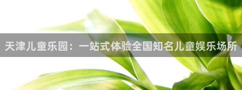 天津儿童乐园：一站式体验全国知名儿童娱乐场所