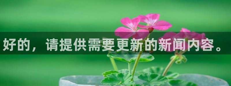 好的，请提供需要更新的新闻内容。