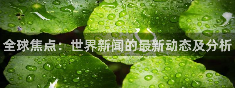 全球焦点：世界新闻的最新动态及分析