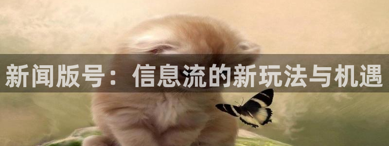 新闻版号：信息流的新玩法与机遇