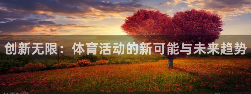 创新无限：体育活动的新可能与未来趋势