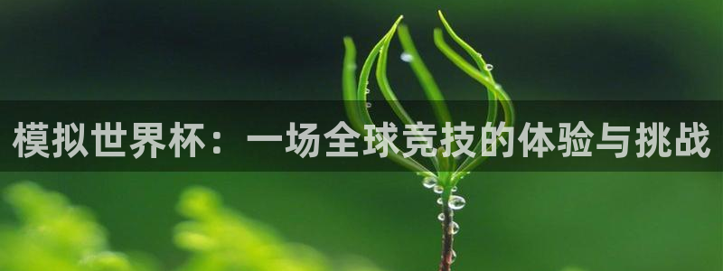 模拟世界杯：一场全球竞技的体验与挑战