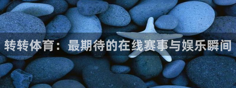 转转体育：最期待的在线赛事与娱乐瞬间