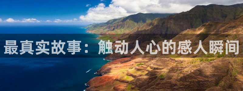 最真实故事：触动人心的感人瞬间