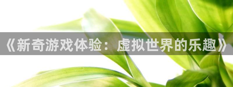 《新奇游戏体验：虚拟世界的乐趣》