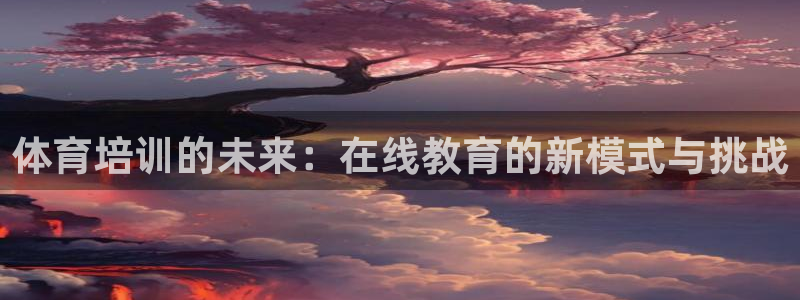 体育培训的未来：在线教育的新模式与挑战