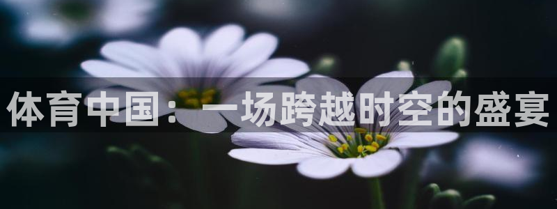 体育中国：一场跨越时空的盛宴