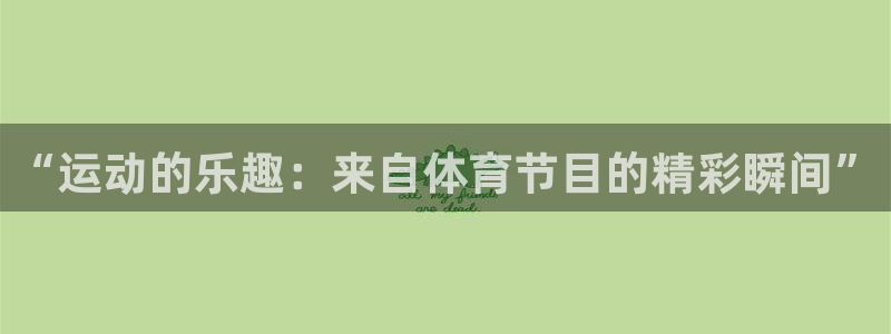 “运动的乐趣：来自体育节目的精彩瞬间”