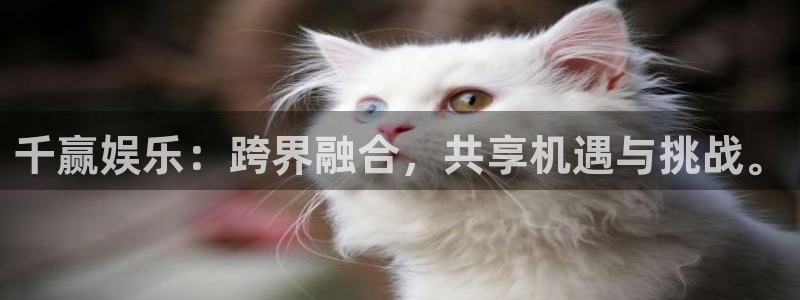 千赢娱乐：跨界融合，共享机遇与挑战。