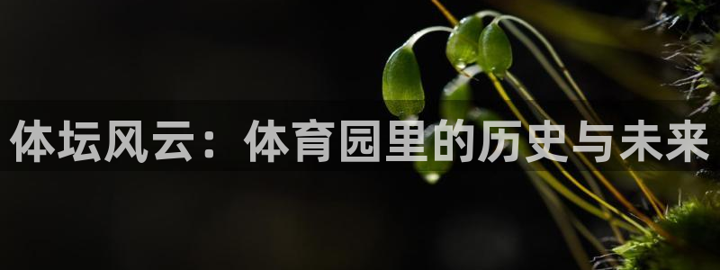 体坛风云：体育园里的历史与未来