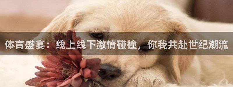 体育盛宴：线上线下激情碰撞，你我共赴世纪潮流