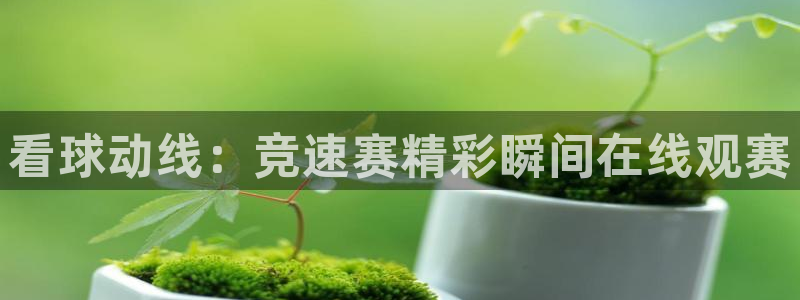 看球动线：竞速赛精彩瞬间在线观赛