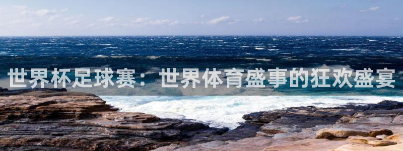 世界杯足球赛：世界体育盛事的狂欢盛宴