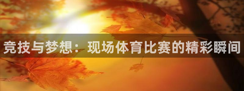竞技与梦想：现场体育比赛的精彩瞬间