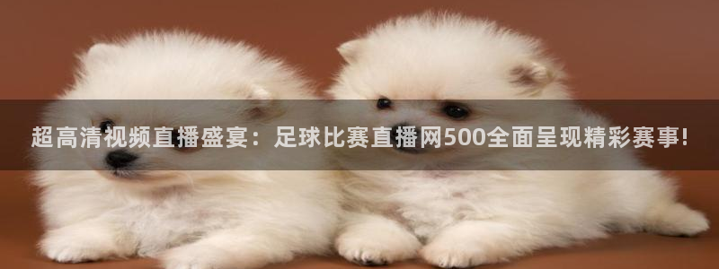 超高清视频直播盛宴：足球比赛直播网500全面呈现精彩赛事!