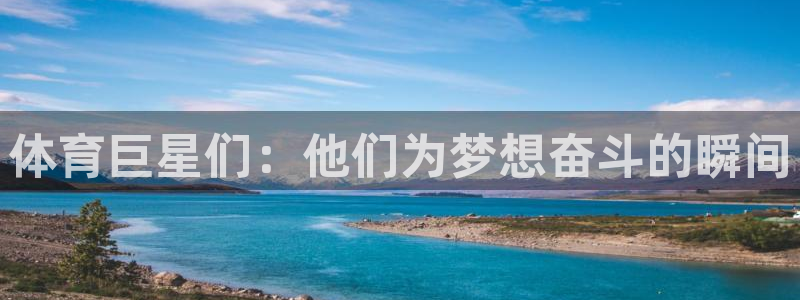 体育巨星们：他们为梦想奋斗的瞬间
