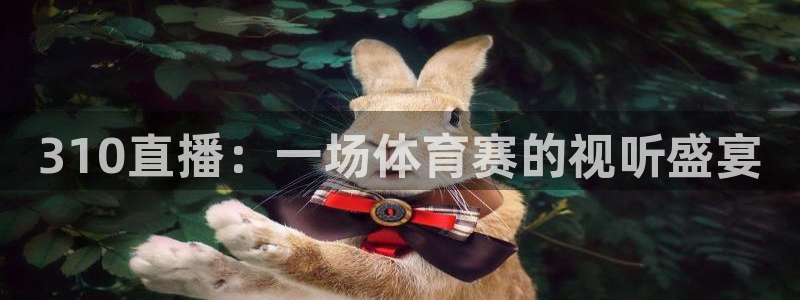 310直播：一场体育赛的视听盛宴