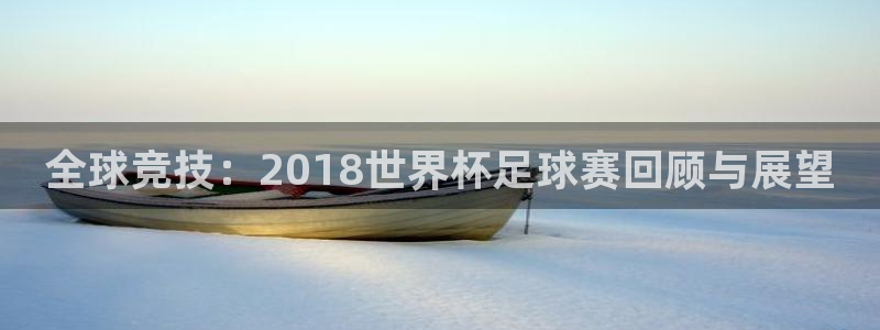 全球竞技：2018世界杯足球赛回顾与展望