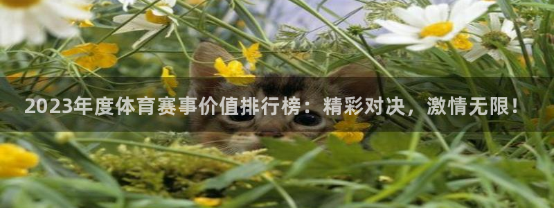 2023年度体育赛事价值排行榜：精彩对决，激情无限！